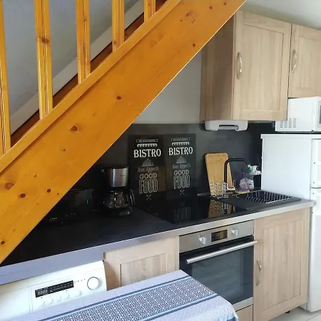 House T3 Marseillan Beach 100M Beach Robinson *